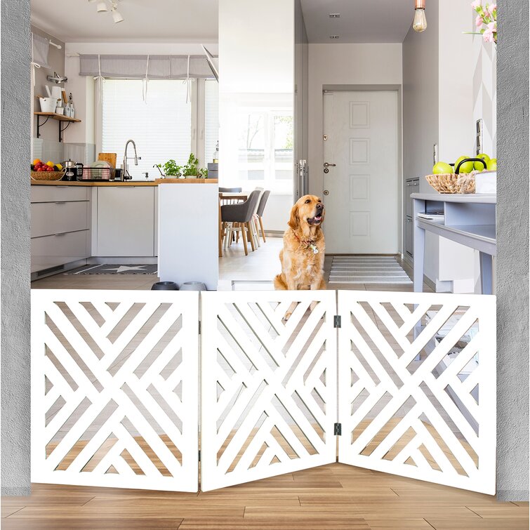 Lattice 2024 dog gate